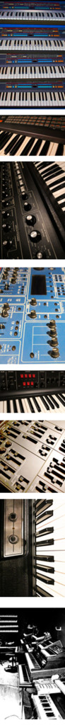 rec-services-banner-collage-3inch-wide